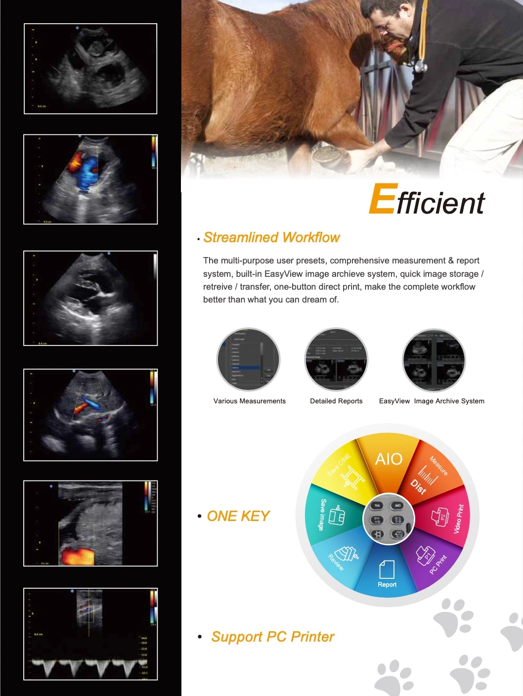 Chison Eco3exp Color Portable Doppler Ultrasound Machine Veterinary Ultrasound Scanner