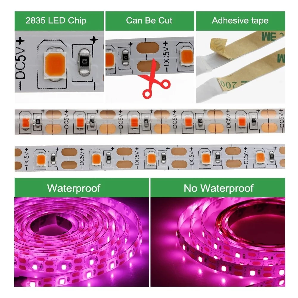 LED GROW Light Full Spectrum USB GROW Light Strip 0,5 M. ruban Phyto LED 1 m 2 m 2835 CMS DC5V pour Graines plantes fleurs serres