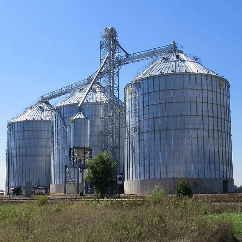 Galvanizing Stainless Steel Grain Storage Silo for Seeds Storage Silo