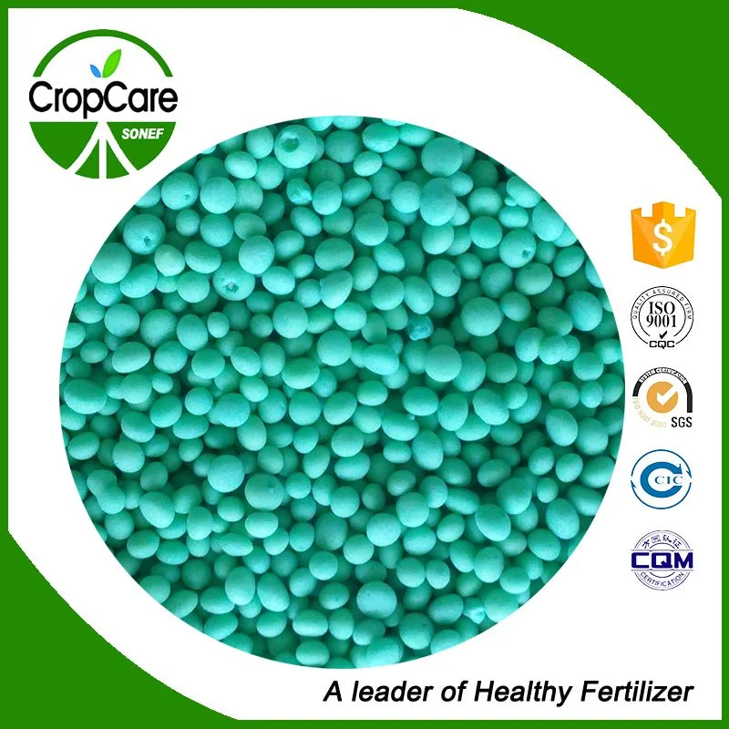 Agriculture Hot Sale Granular NPK Fertilizer 28-8-8 Wsf with Factory Price