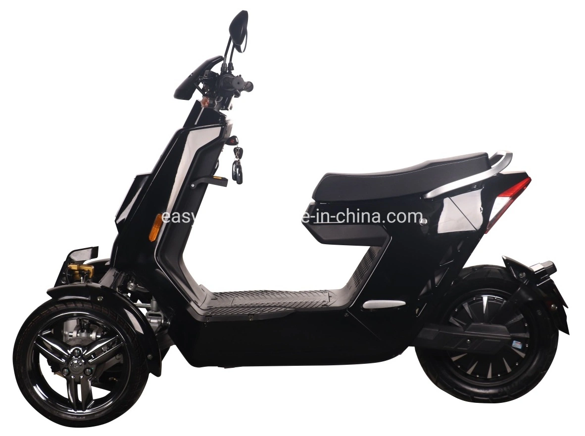 High quality/High cost performance Three Wheel Electric Bike with Lithium Battery