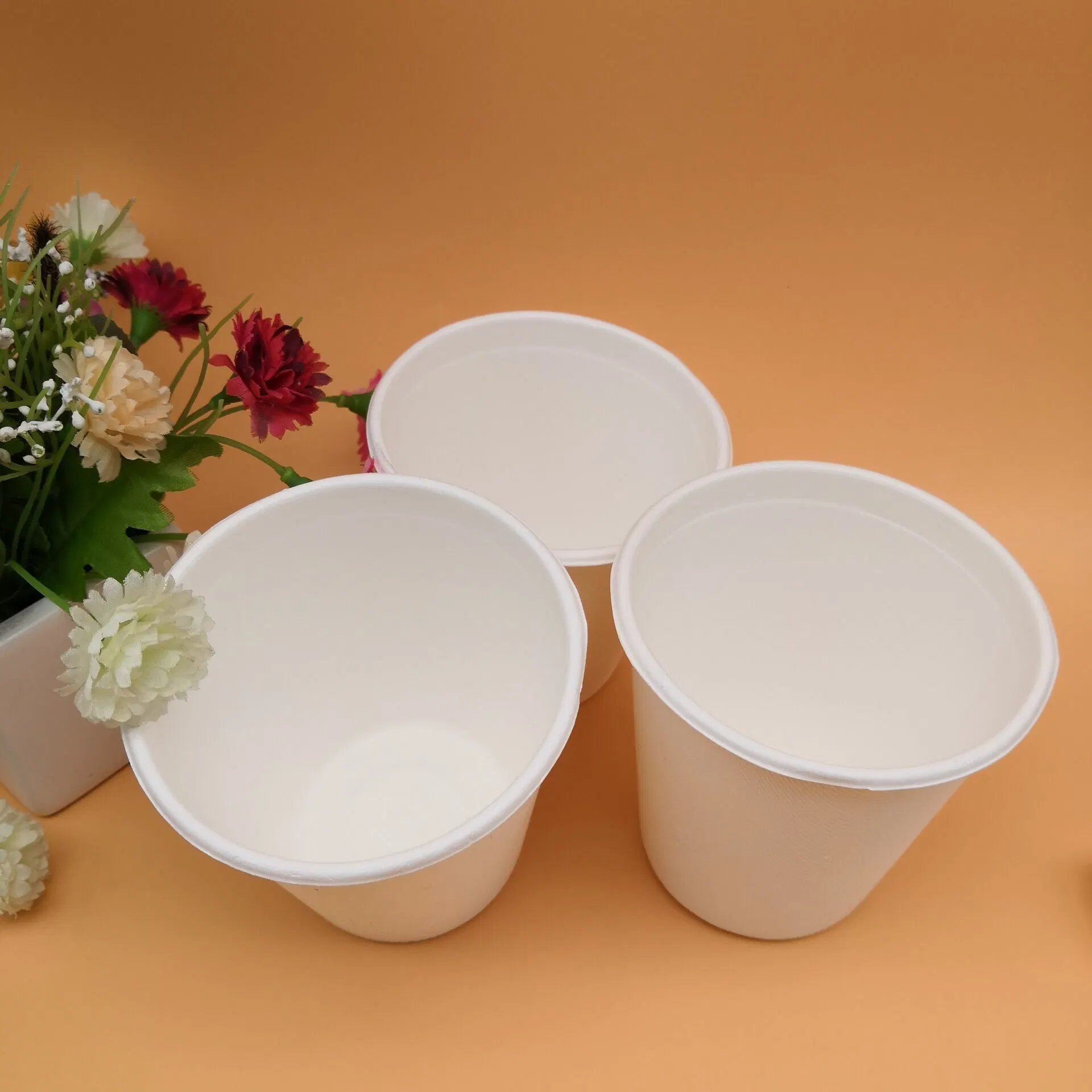 La canne à sucre de haute qualité de papier décoratif jetables 12oz cuvette en verre produit