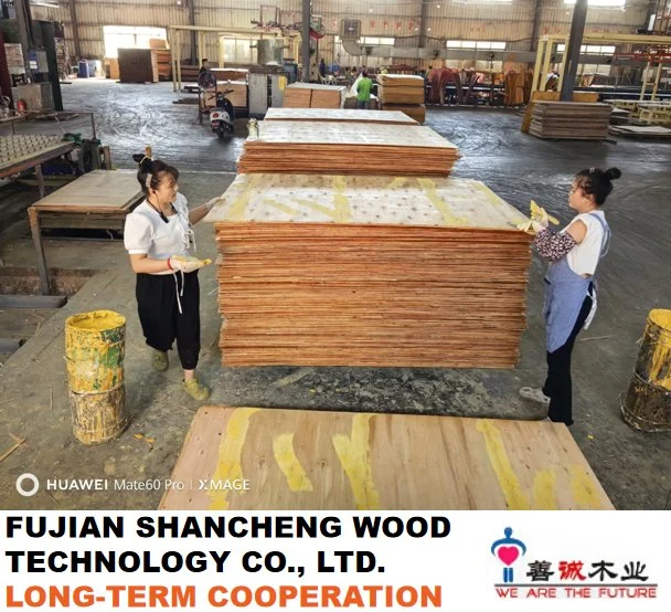 "Best Quality Poplar 3mm Thickness Pine /Eucalyptus/Okoume Commercial Plywood"