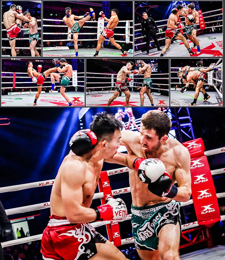 Short de sport MMA Muay Thai Pants Short de boxe