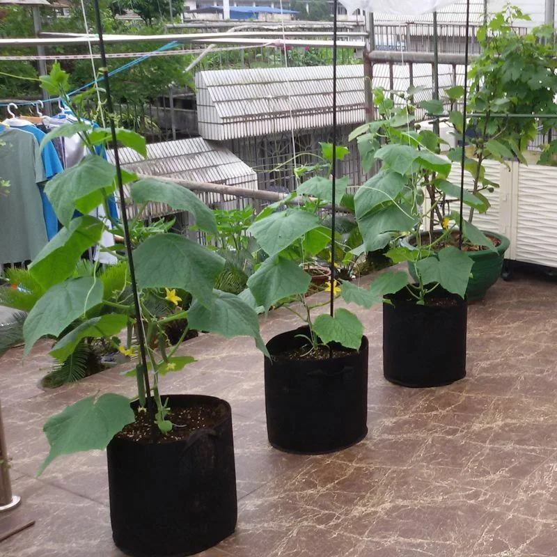 Vegetable Potato Growing Bag/ Felt Grow Bags with Handle Garden Fabric Growing Planting Bag