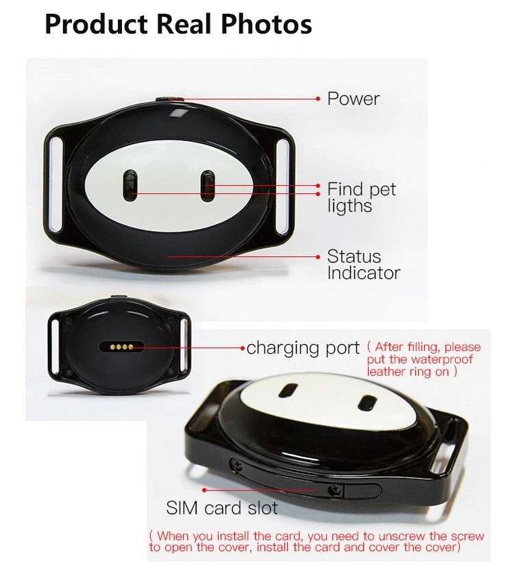 GPS+Beidou+WiFi +lbs Monitor Tracker Pet GSM Tracking Gerät mit Halsband Für Hund (AVP031D79)
