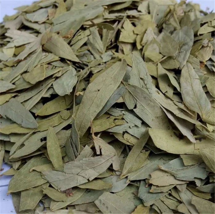 wholesale Natural chinese herbal weightloss tea dried senna leaf slimming tea