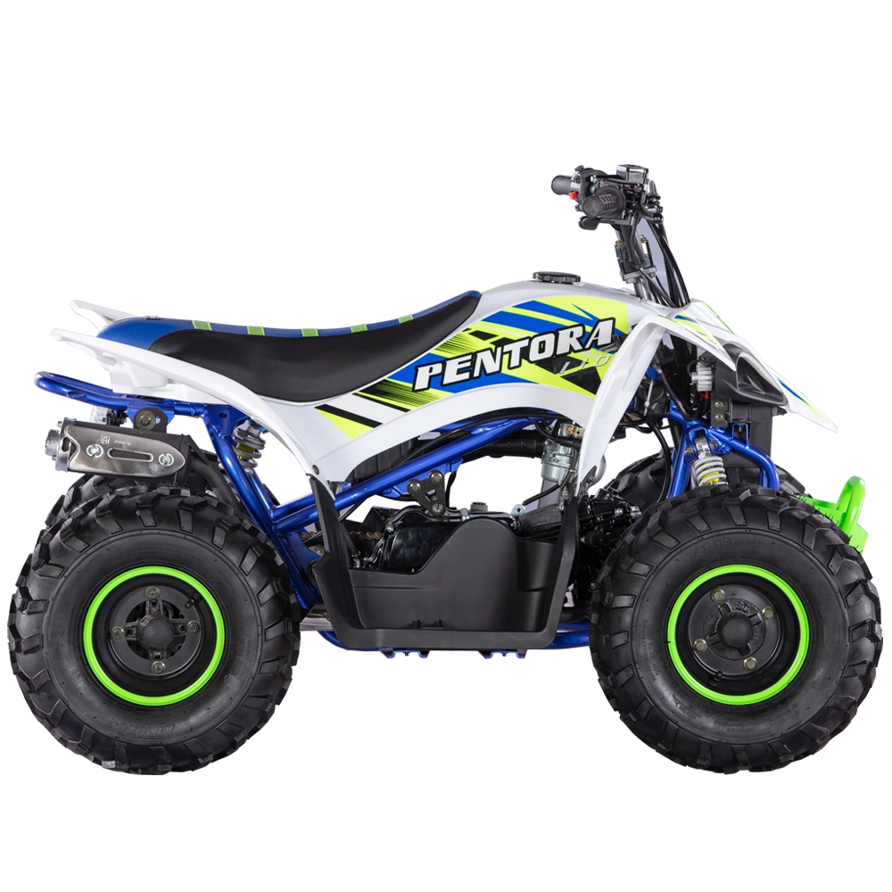 2022 Hot 110cc ATV Quad Design de corridas de moto, Pentora 110L