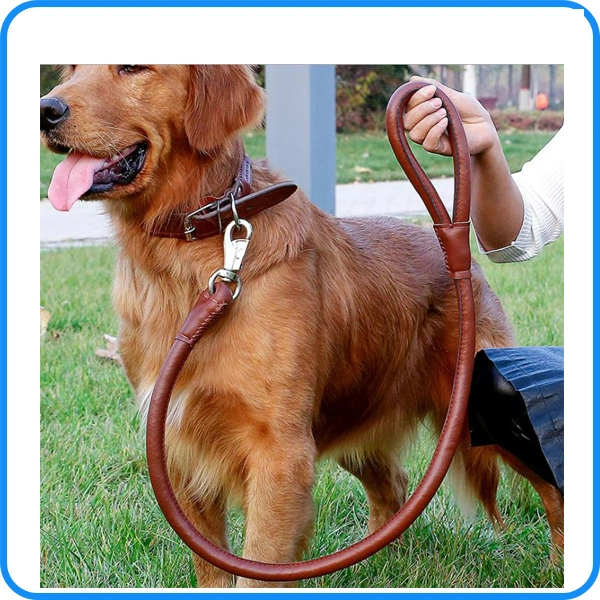 Factory Best Leather Pet Collar for Dogs (HP-106)