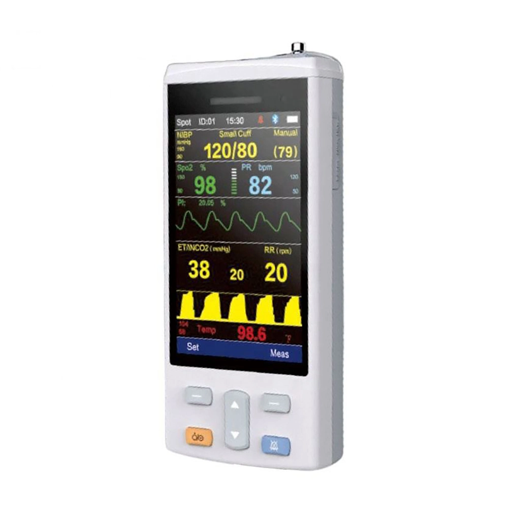 Icen Handheld Portable Multi-Parameter Equipment Veterinary Monitor Etco2