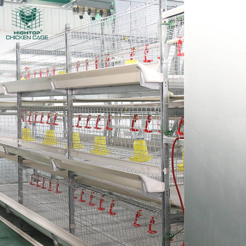 Factory Supply Automatic Chicken Farming Equipment Broiler Cage For South Africa