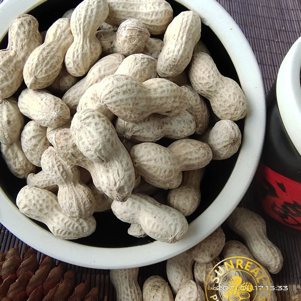 China Roasted Java Peanuts in Shell/Bold Peanut in Shell/Crispy 40/50 Good Taste