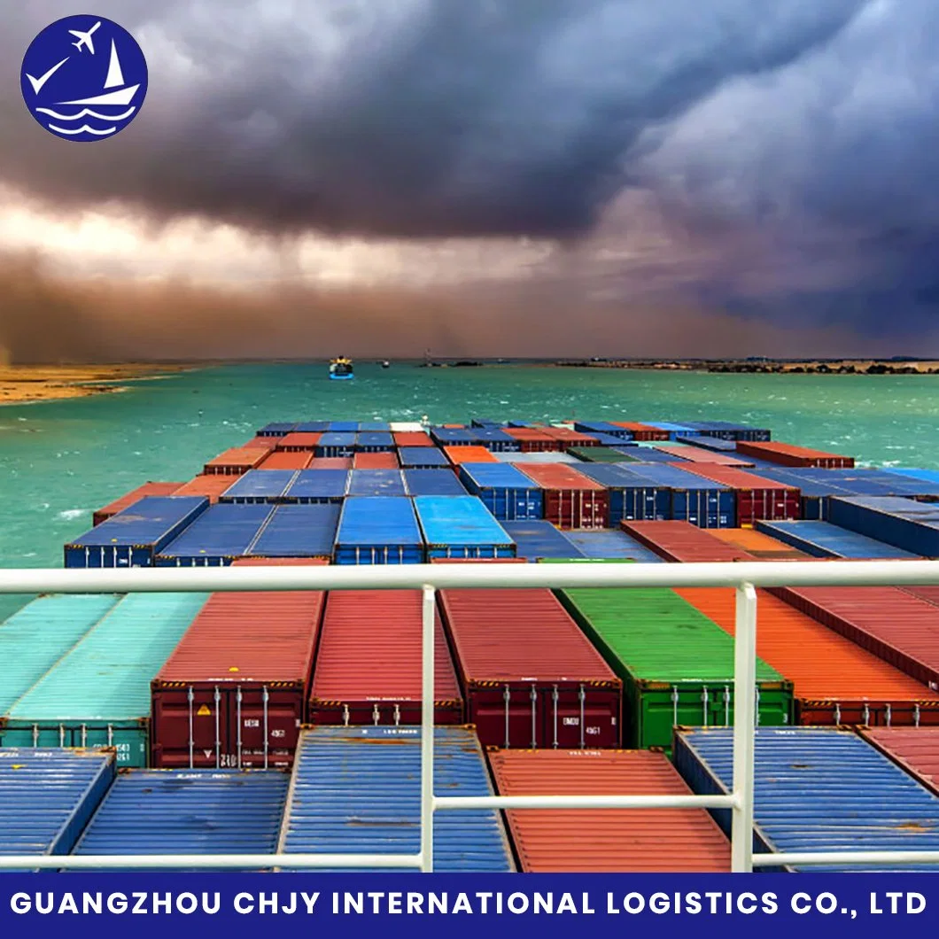 Professional Un3480 Batteries Dg Cargo Sea Shipping Logistics From China to Us