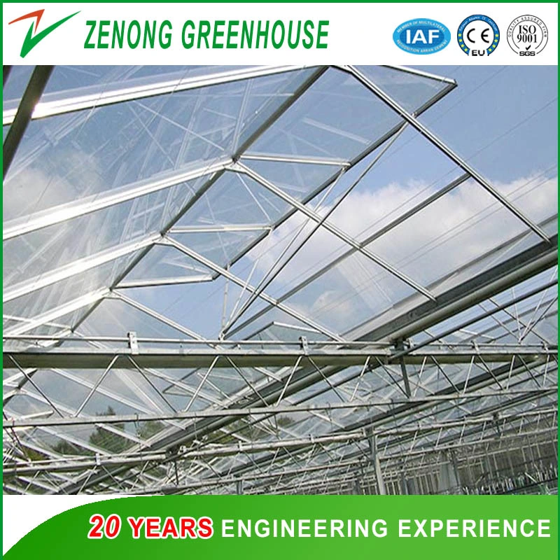 Glass Greenhouse for Exhibition/Seed Breeding/Ecological Restaurant/ Scientific Research