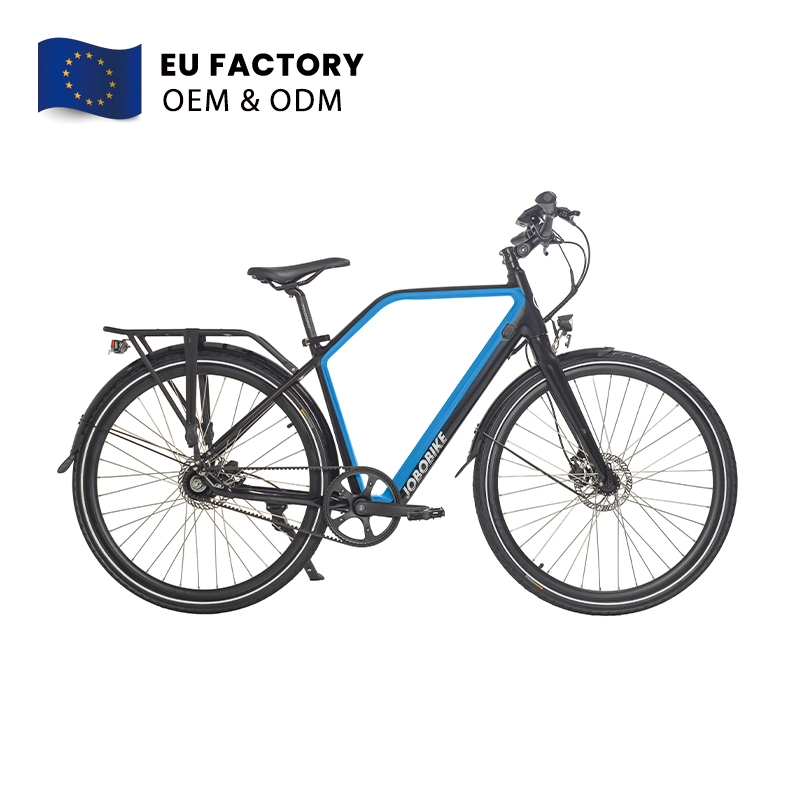 Blue Tooth Multi-Function Display 700c Electric Gravel Bafang 36V 250W EU Market Electric City Bike OEM E Bike