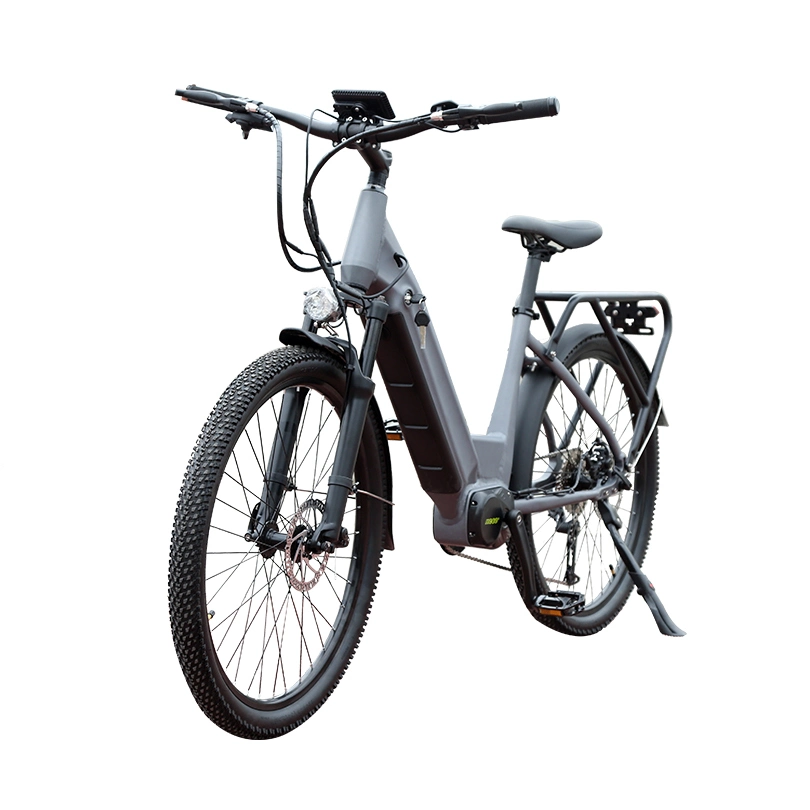 Brushless 350W Utility Ebike Mountain Bikes E Bicycle for Men Electric Bike