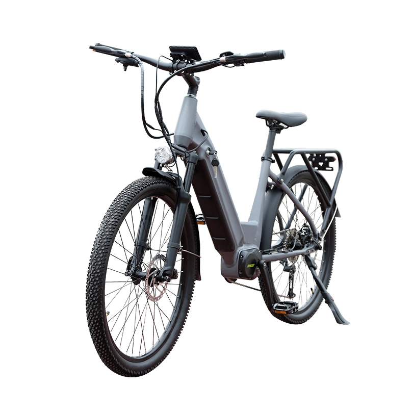 Бесщеточные 350W Utility Ebike горные велосипеды E велосипед для мужчин электрический велосипед