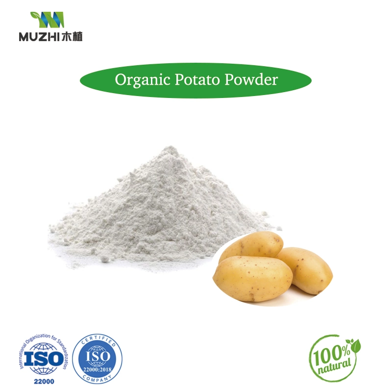 Kartoffelpulver Natürliche Kräuterpflanze Extrakt