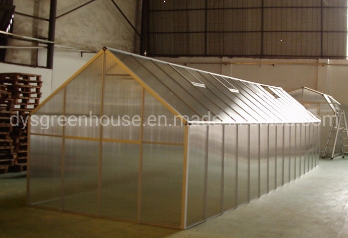 New- Style Aluminium Frame Commercial Greenhouse with a Roof Window (RDGU0824mm-6mm)