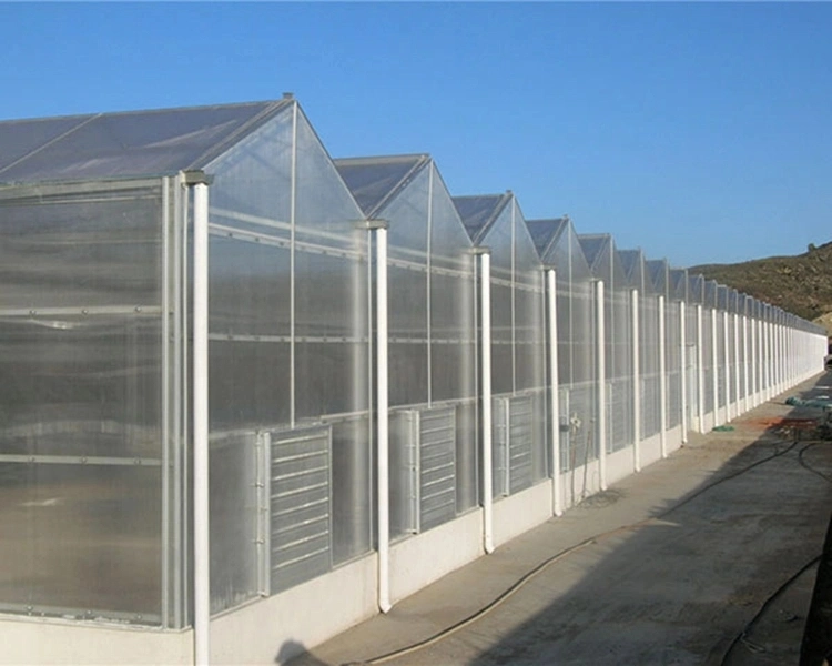 Low-Cost Polycarbonate Greenhouse, Single-Span Multi-Span Garden