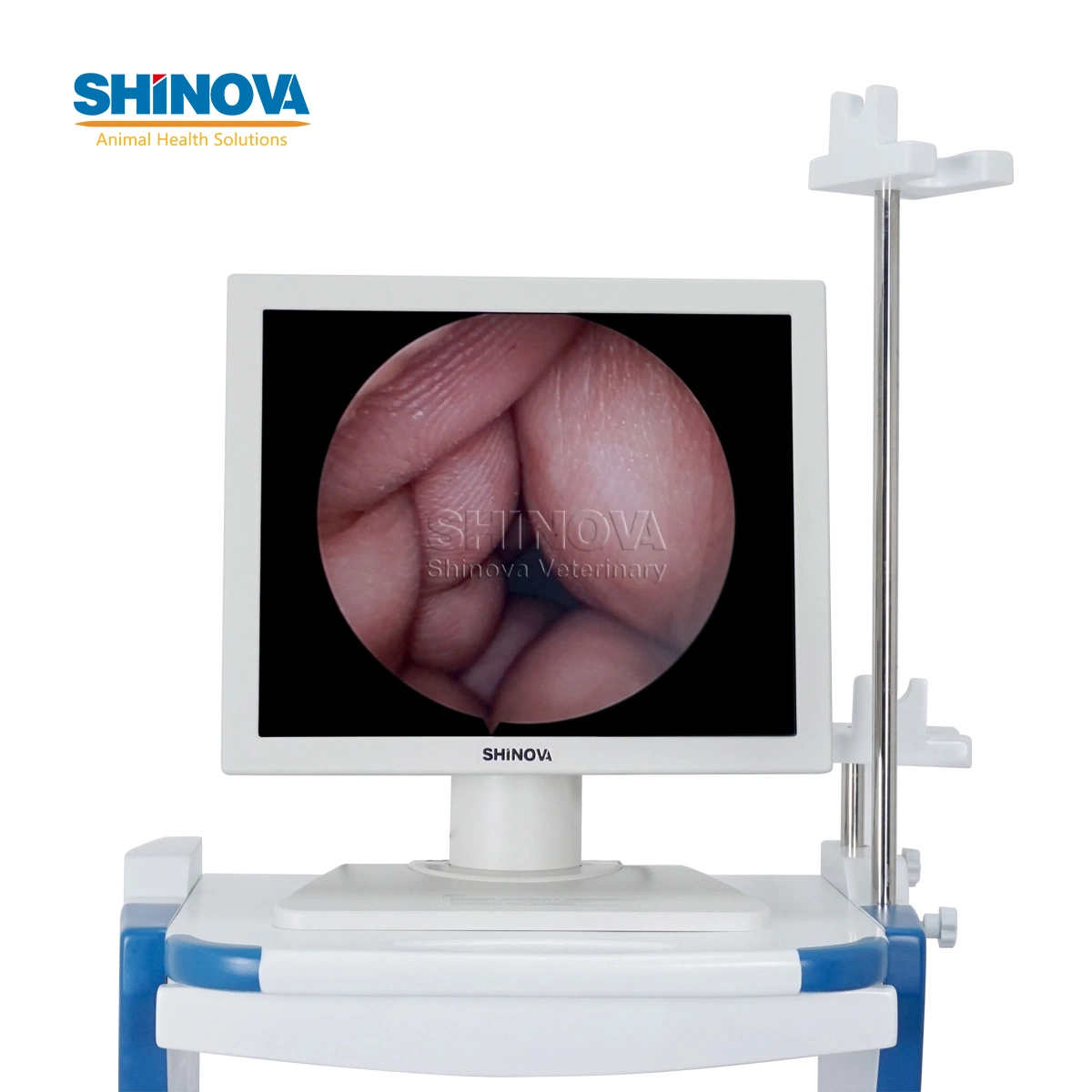 High-Definition Veterinary Video Endoscope (1.5-Meter Gastrix 92V)