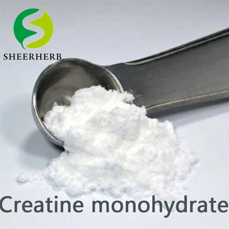 Горячая продажа спортивных Nutriction мышцы питание порошок креатин креатин Monohydrate Monohydrate 200 меш порошок