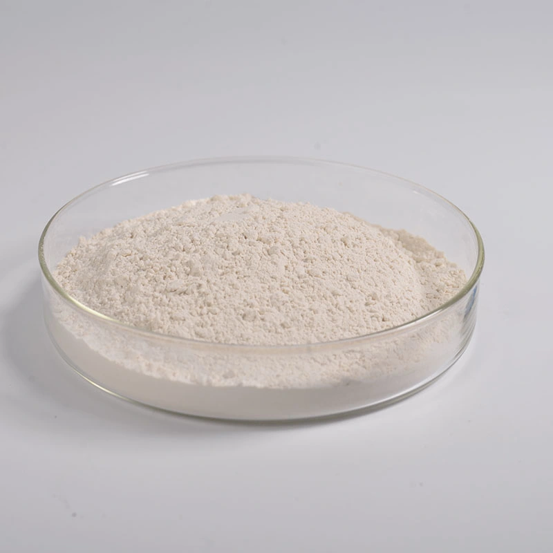 Pure Natural Resveratrol Powder 10% 50% 98% Giant Knotweed Extract