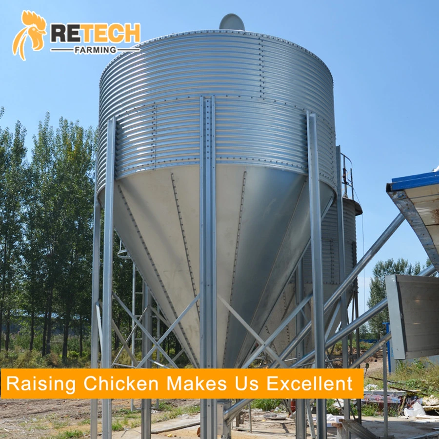 Durable hot-dip galvanized 3 tiers egg layer chicken cages