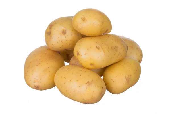 Good Quality Organic Chinese Potato in Chinese Factory