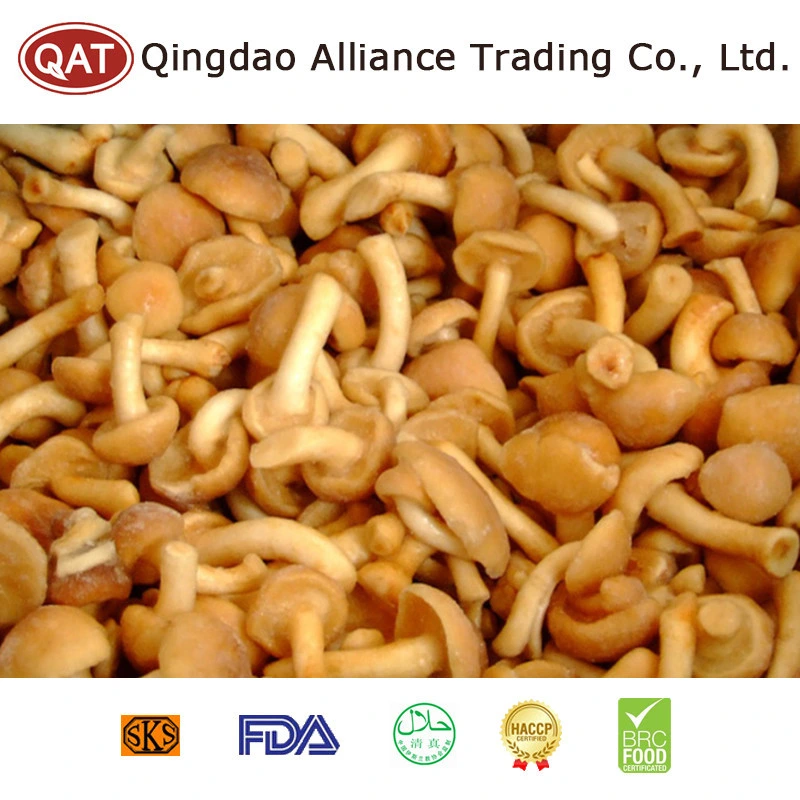 Top Quality Frozen Whole Nameko Mushroom