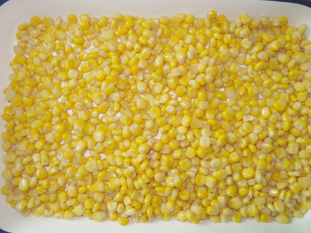 Los alimentos enlatados Kernel 2500g de maíz dulce