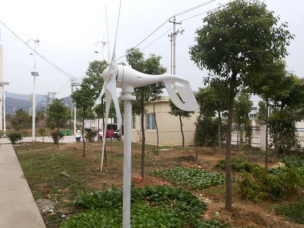 600W Horizontal Wind Turbine Generator Popular for Low Wind Area