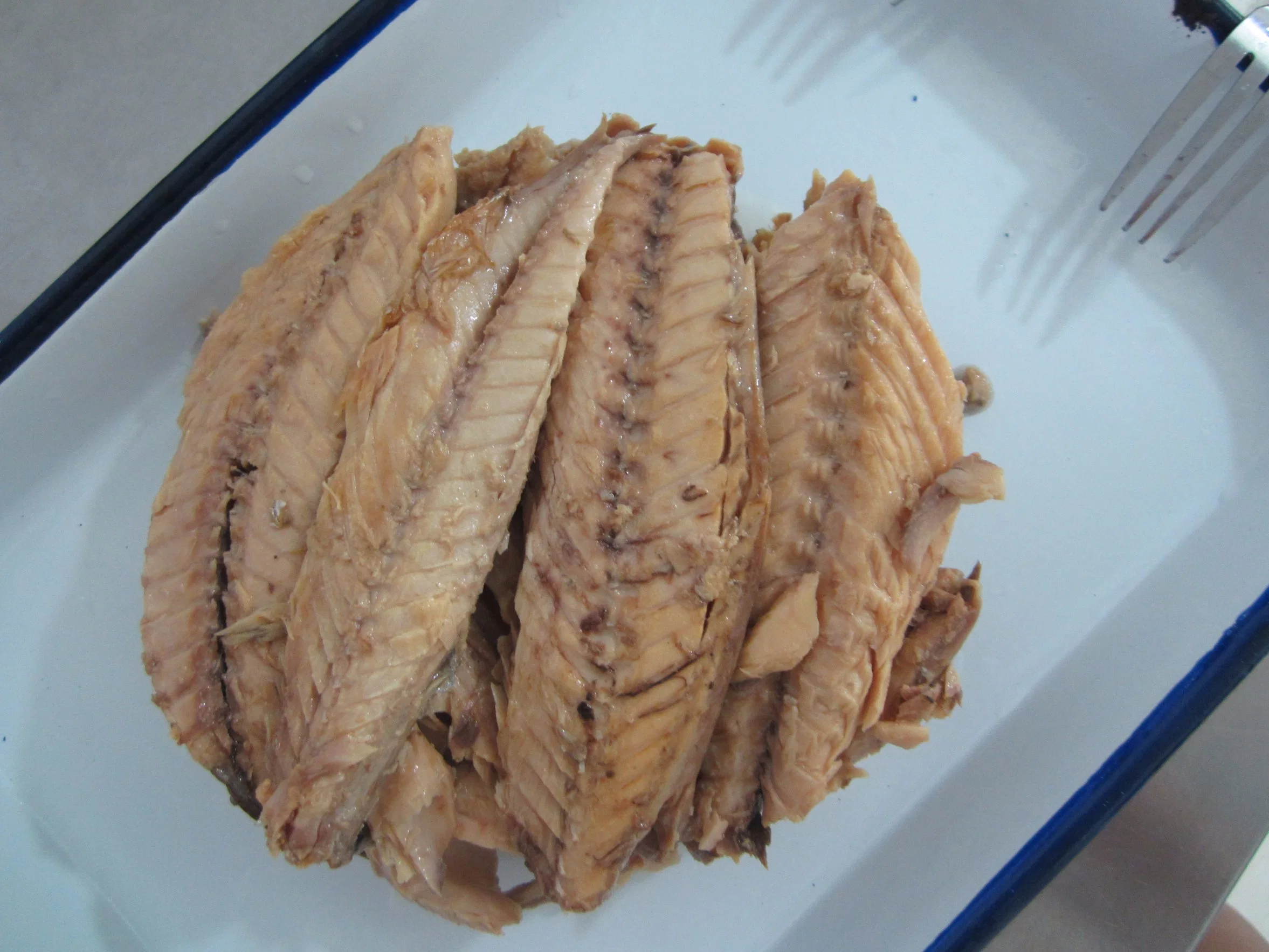 Canned Mackerel Fillet in Vegetable Oil