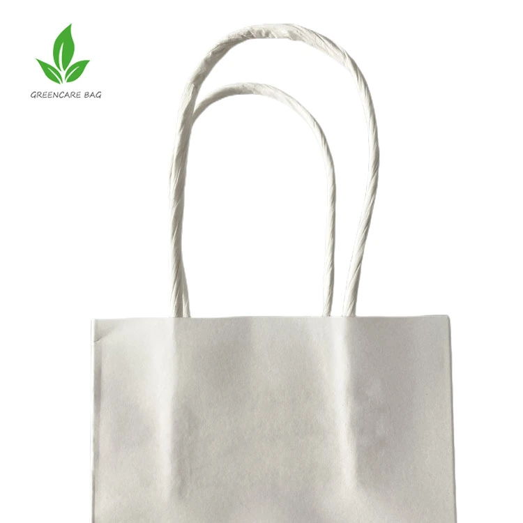 Handbag Shape Euro Tote Luxury Paper Bag with Logo