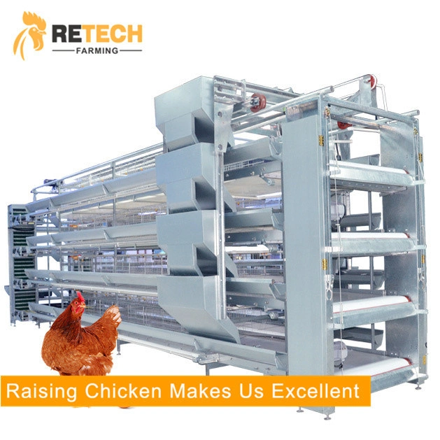 Automatische H-Schicht Geflügelfarmen Ausrüstung Huhn Batteriekäfig