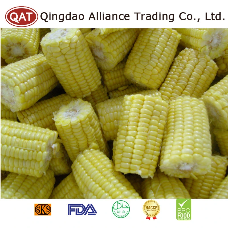 2022 New Crop IQF Frozen Super Sweet COB Corn with High quality/High cost performance 