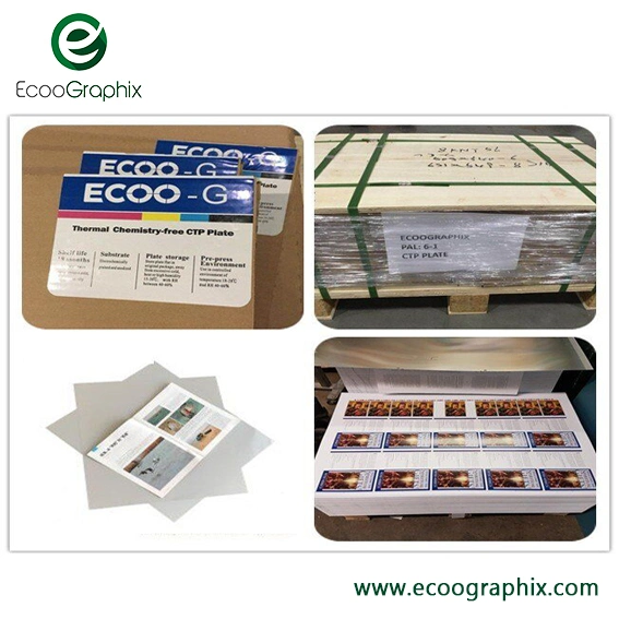 Ecoographix Offset Aluminum Processless Negative Thermal CTP Printing Plate