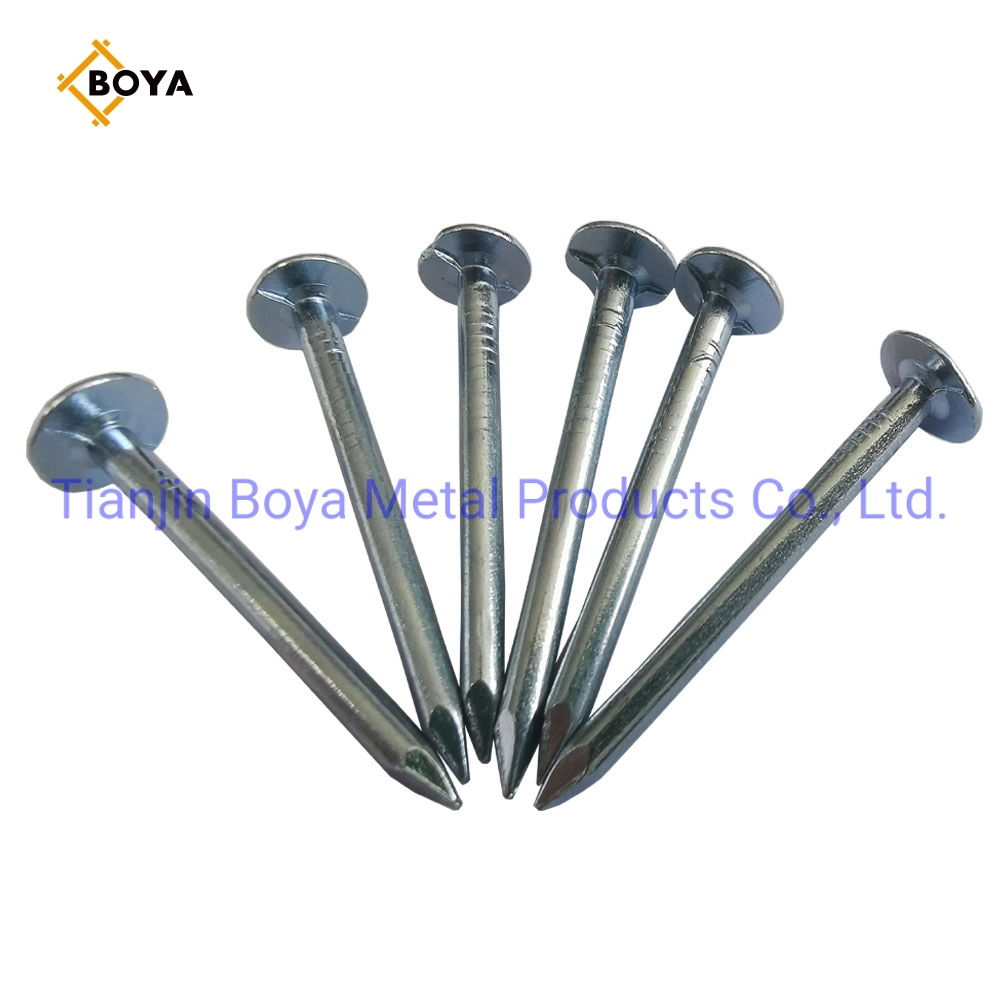 China Galvanized Large Head Clout Nails /Big Head Nail/Roofing Nail