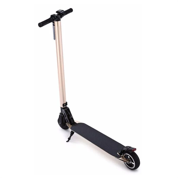 2 Wheels Mini Foldable 25km H 250W Electric Scooter for Adults and Kids