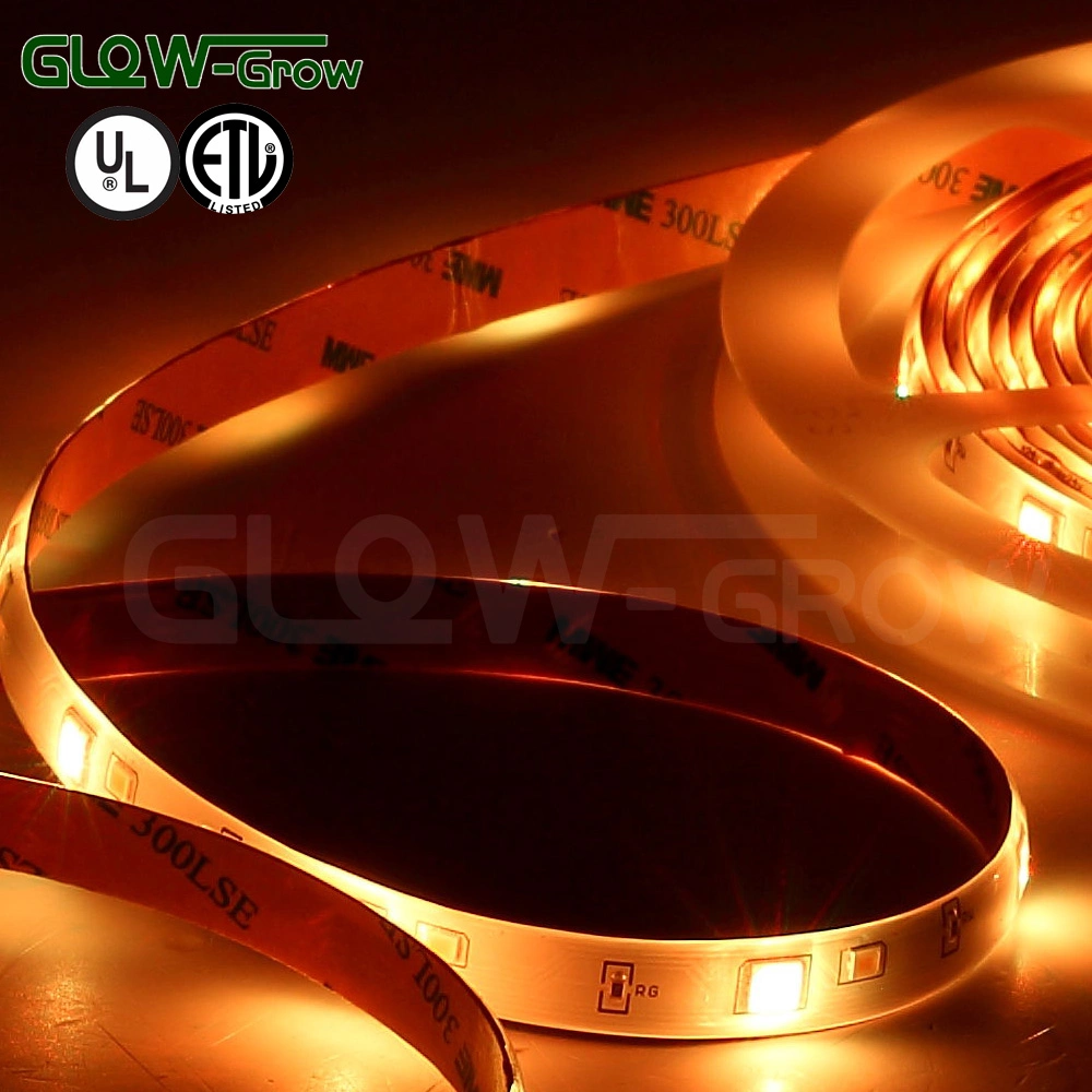 Factory Waterproof 12V 5m 30LEDs/M RGBW Flexible LED Light Strip for Home Holiday Decoration