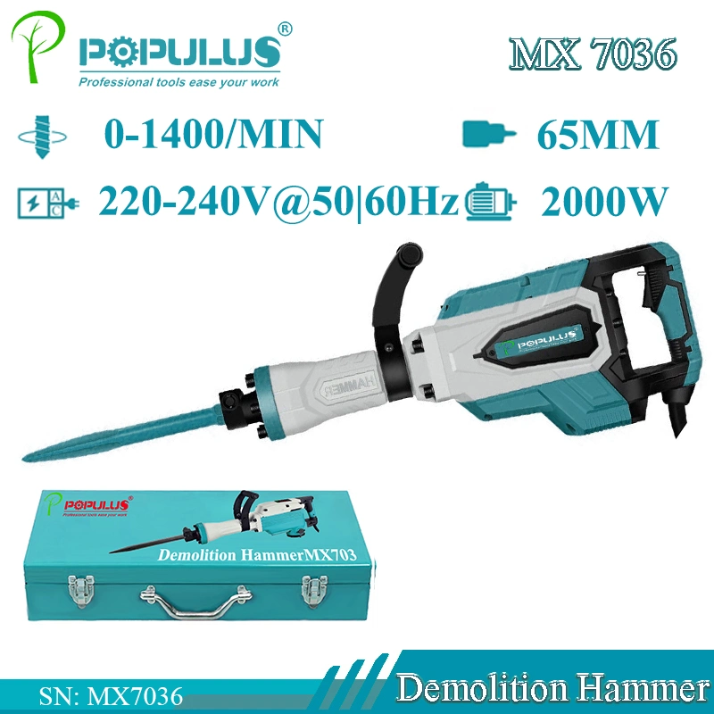Populus New Arrival Industrial Quality Dca Interchangeable Demolition Hammer pH65A Power Tools 2000W Hammer for Russian Market