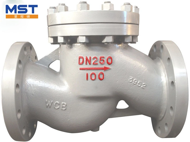 Cast Ductile Iron Lift Flange Check Valve for Water Oil Gas Industrial Gate Ball Butterfly Water Pipe Connector