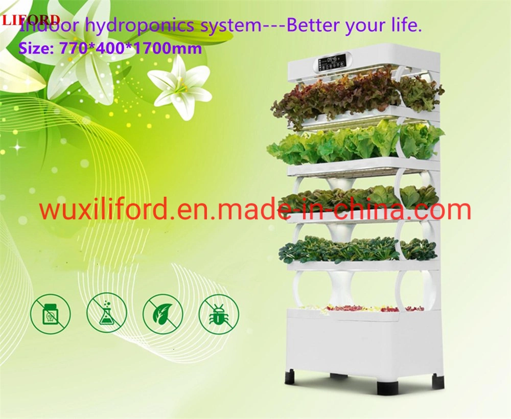 Indoor Hydroponics Growing System Vertical Farming Supplier in China