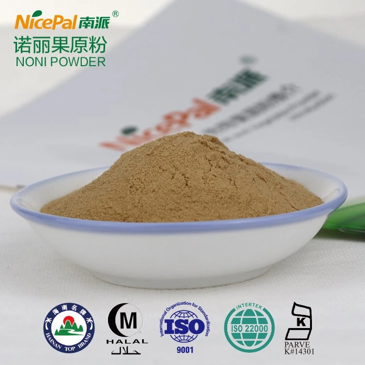 Noni Powder Wholesale/Supplier