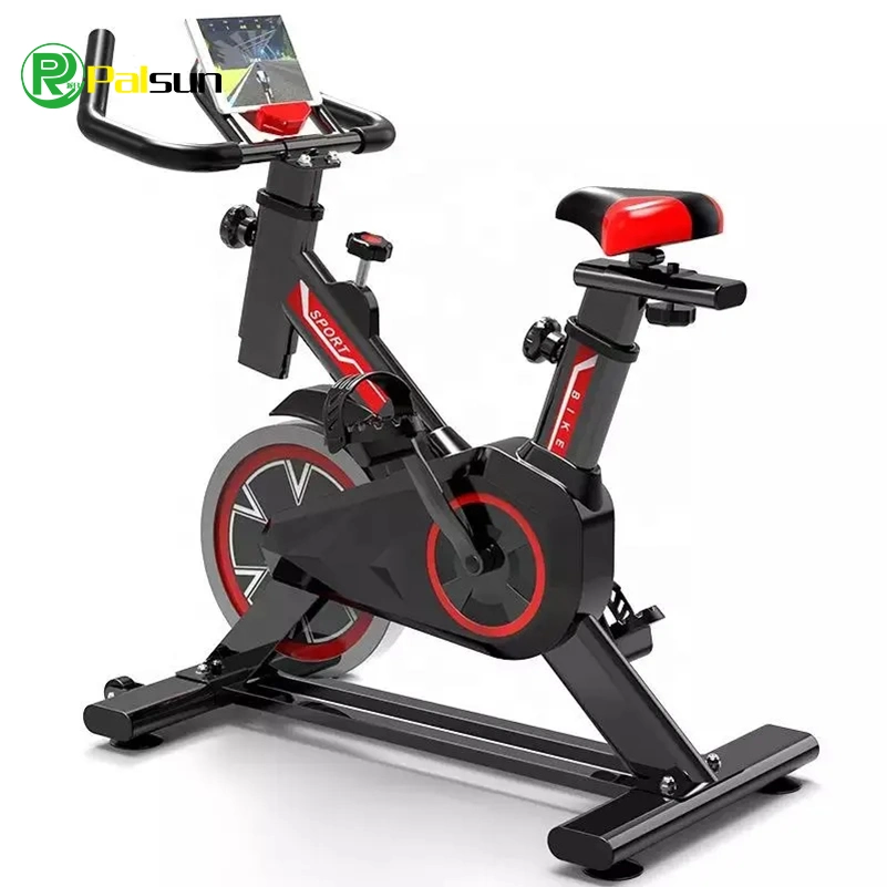 Household Ultra-Quiet Magnetic Control Fitness Spinning Bike Family-Specific Exercise Bike Sports Weight Loss Indoor Bicycle