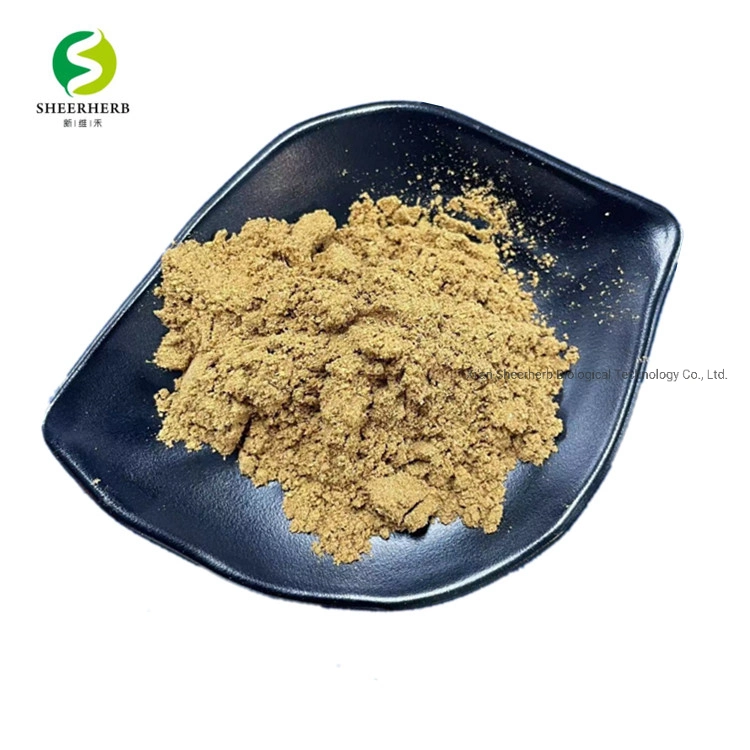 Bulk Broccoli Seed Extract Powder Bulk Broccoli Extract