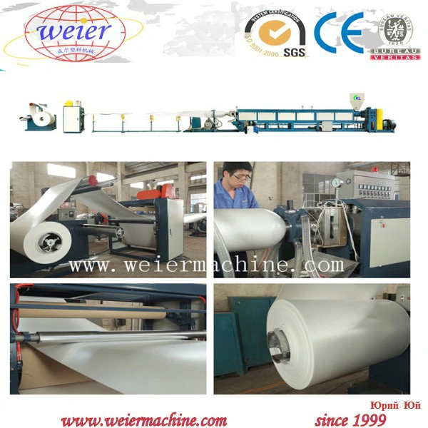 Expanded PS Plastic Rolling Foam Sheet Making Machine for Disposable Meal Box From 15 Years Factory