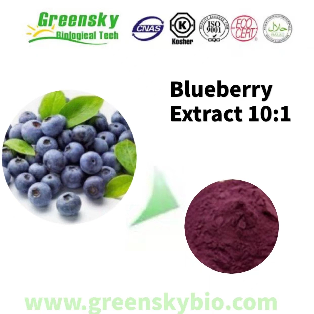 100% Natural Pure Plant Blueberry Extract Bilberry Extract Vma 10: 1 Plant Extract Herbal Extract Food Additive Purple Powder