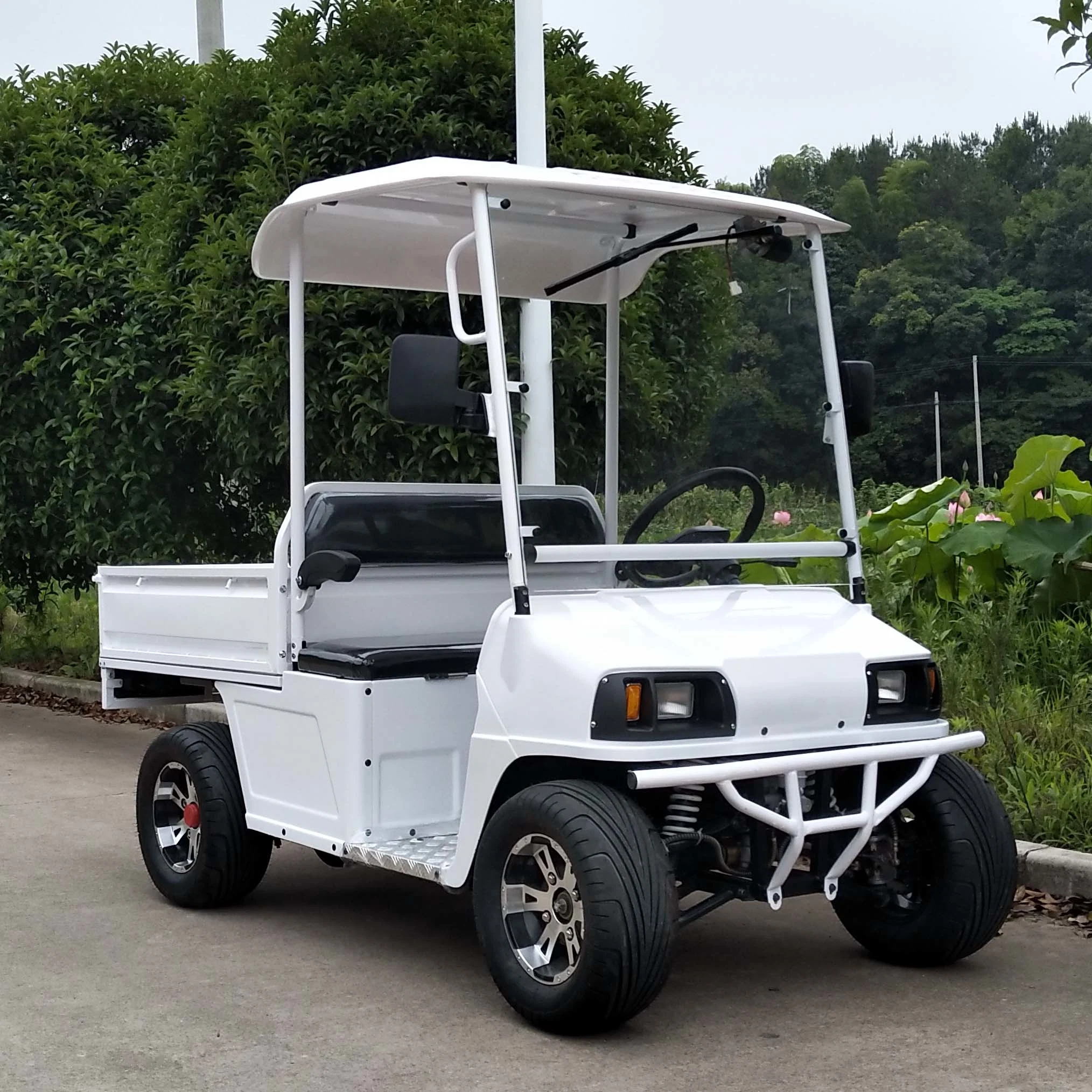 Новый дизайн Оптовая торговля мобильность Scooter Мини Utility Golf Carts Electric Пикап. Самосвал