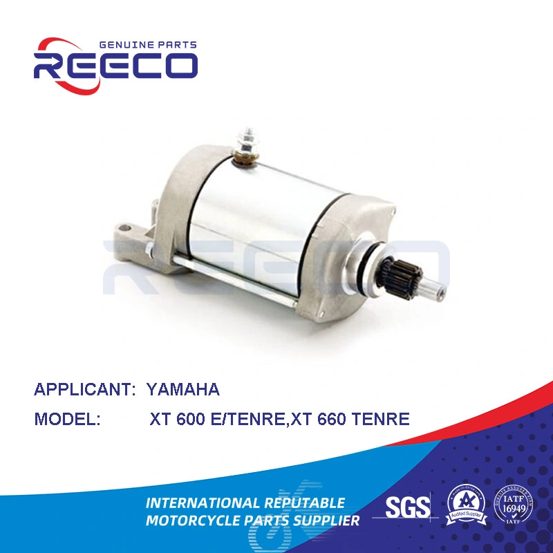 Reeco OE Quality Motorcycle Stator Motor for YAMAHA Xt 600 E Tenre Xt 660 Tenre